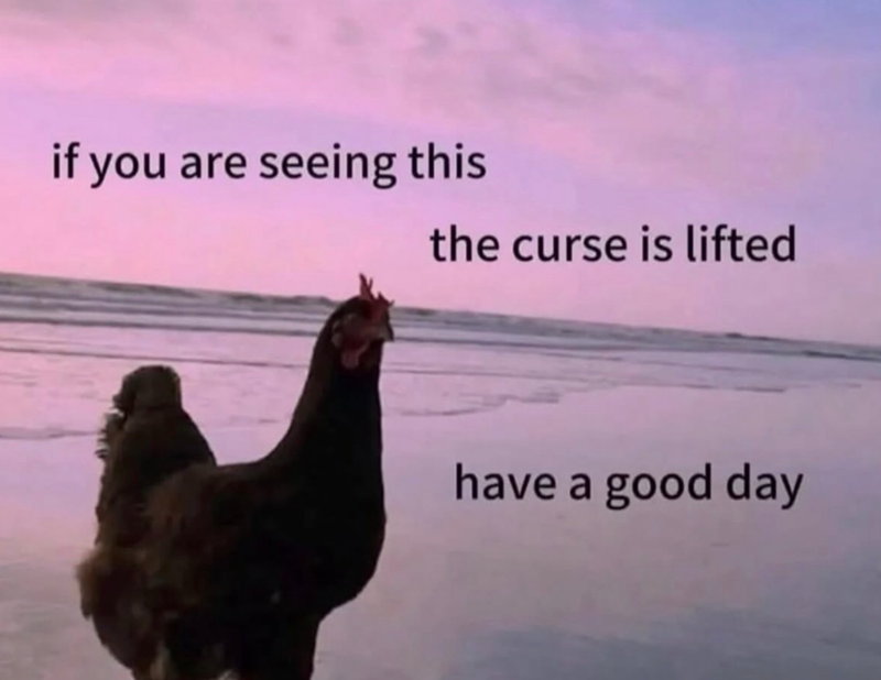if you are seeing this the curse is lifted have a good day