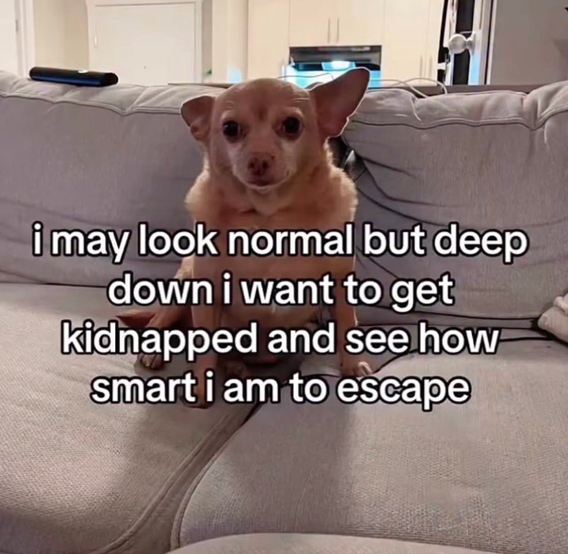 i may look normal but deep down i want to get kidnapped and see how smart i am to escape