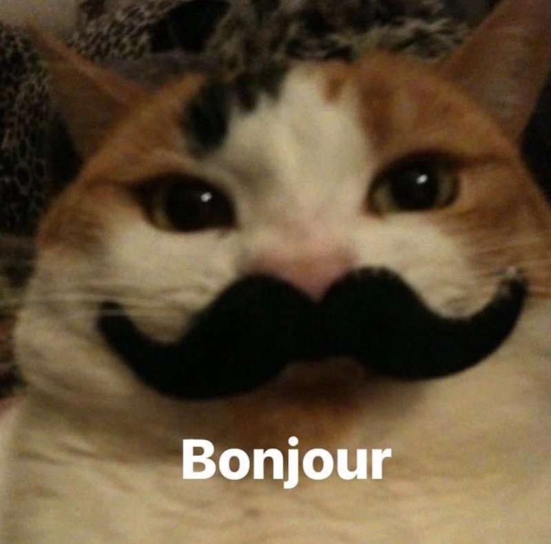 Bonjour