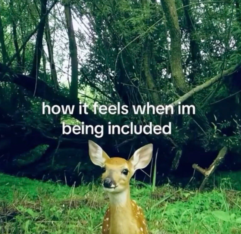 how it feels when im being included