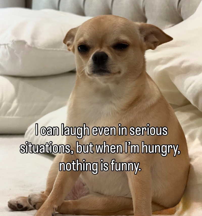 I can laugh even in serious situations, but when I'm hungry, nothing is funny.