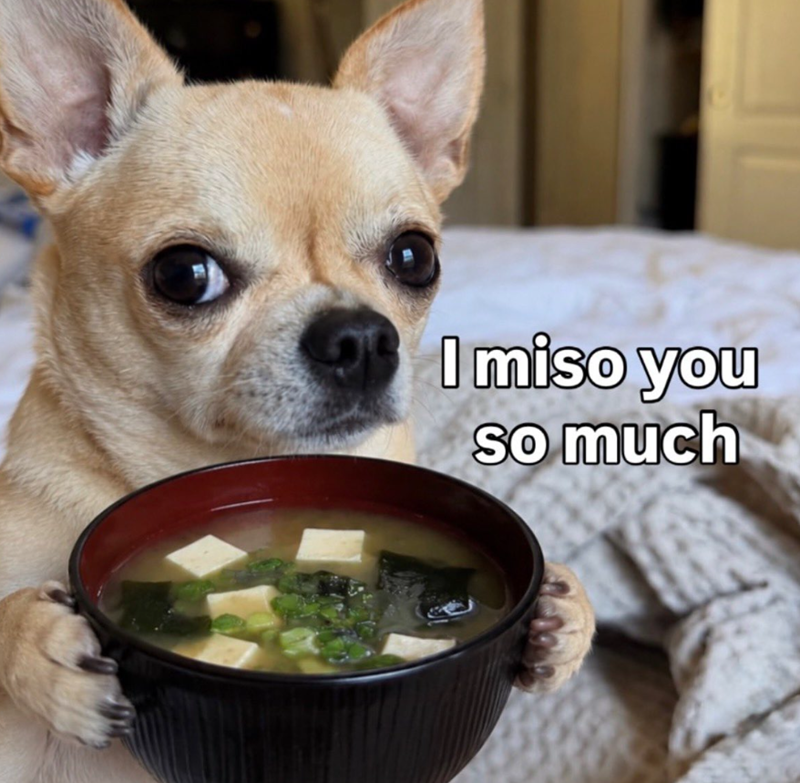 I miso you so much