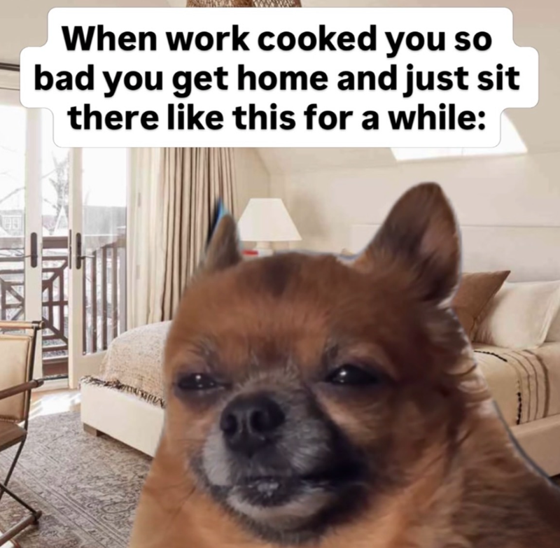 When work cooked you so bad you get home and just sit there like this for a while: