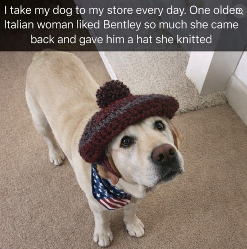 I take my dog to my store every day. One olde Italian woman liked Bentley so much she came back and gave him a hat she knitted