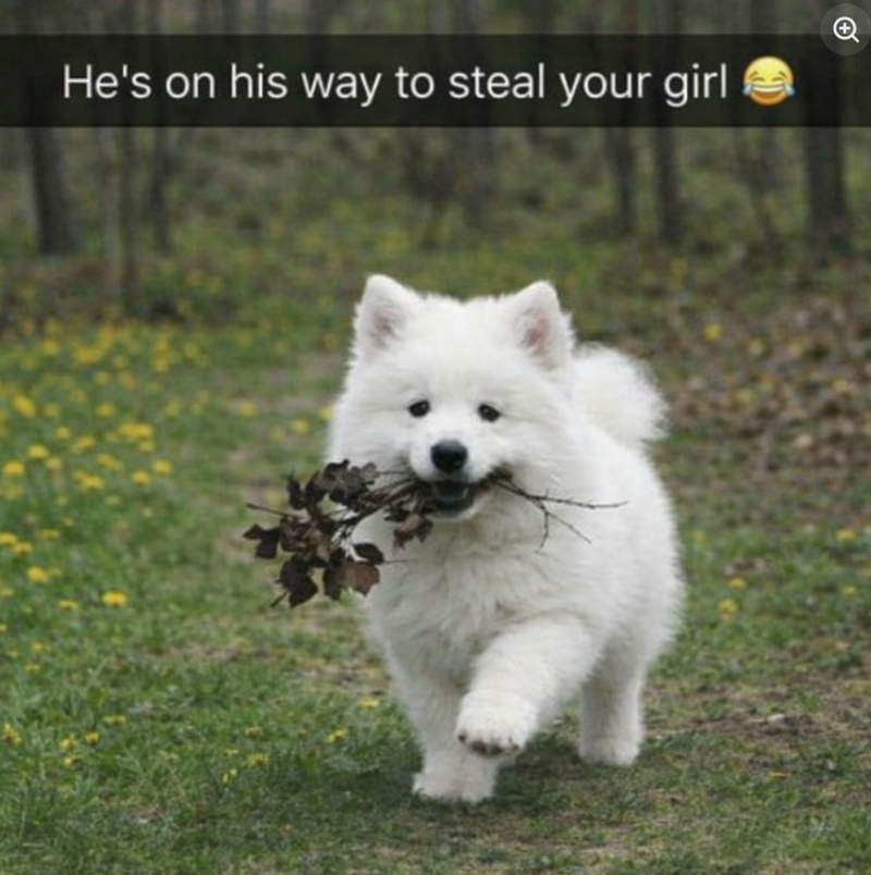 He's on his way to steal your girl +