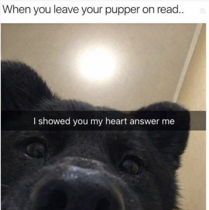 When you leave your pupper on read.. I showed you my heart answer me