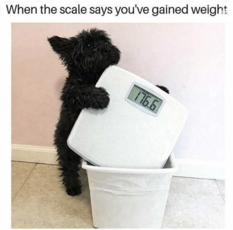 When the scale says you've gained weight 176.6