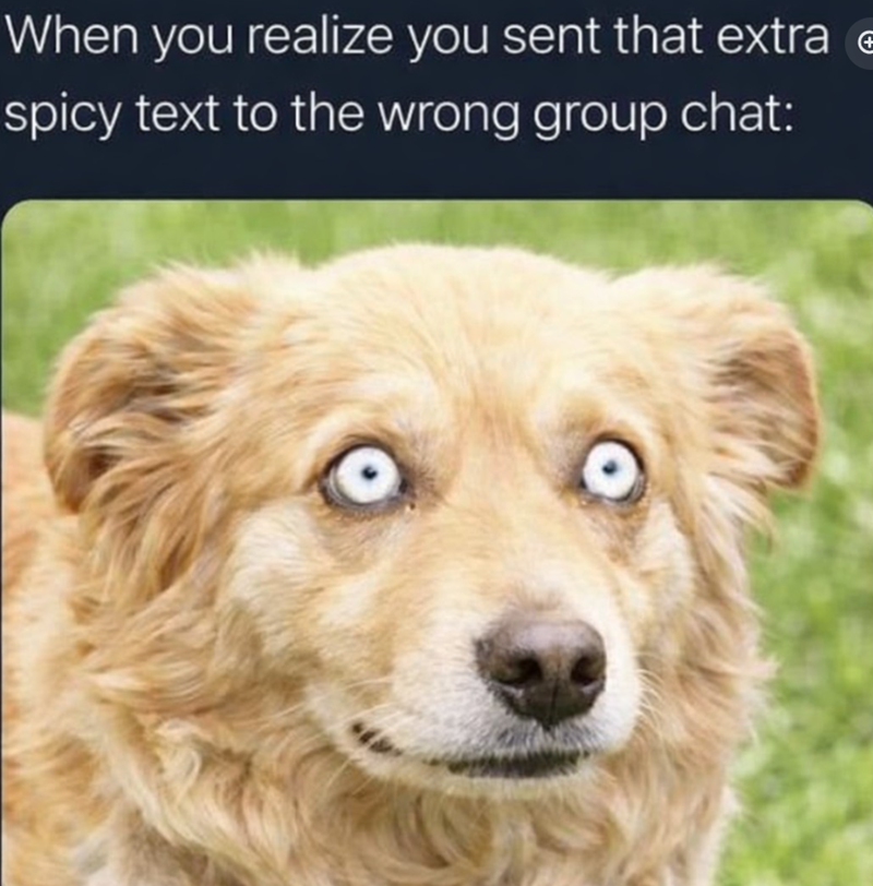 When you realize you sent that extra spicy text to the wrong group chat: +