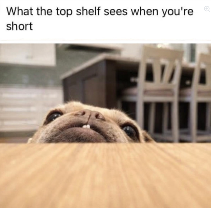 What the top shelf sees when you're short