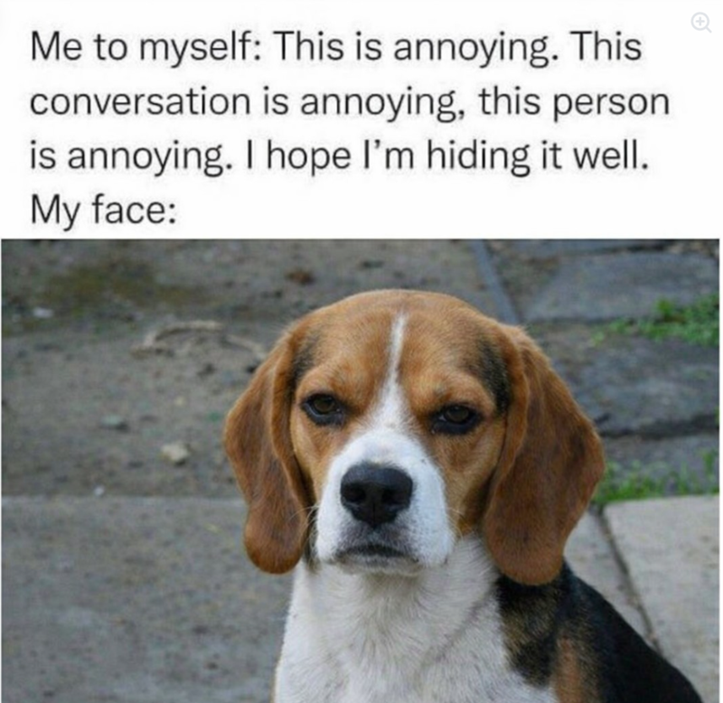 Me to myself: This is annoying. This conversation is annoying, this person is annoying. I hope I'm hiding it well. My face: