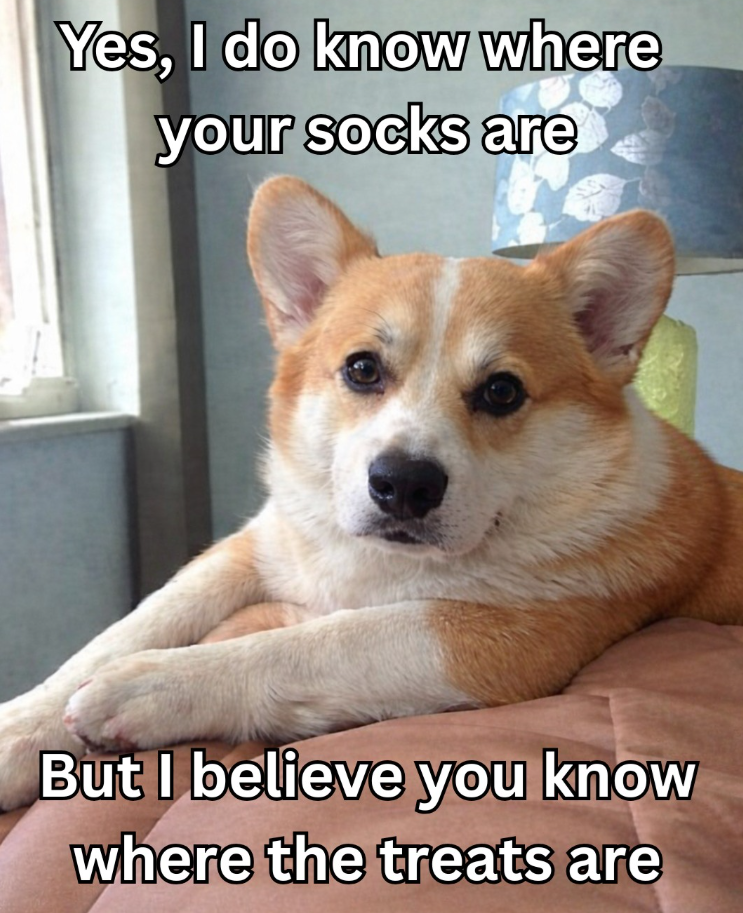 Yes, I do know where your socks are But I believe you know where the treats are