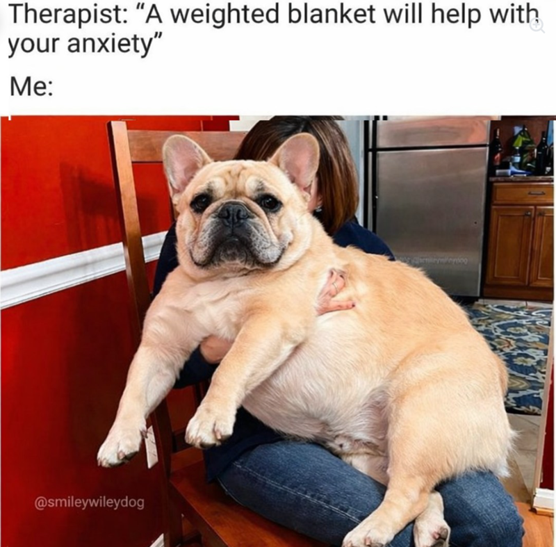 Therapist: "A weighted blanket will help with your anxiety" Me: @smileywileydog Chemileyneytoo