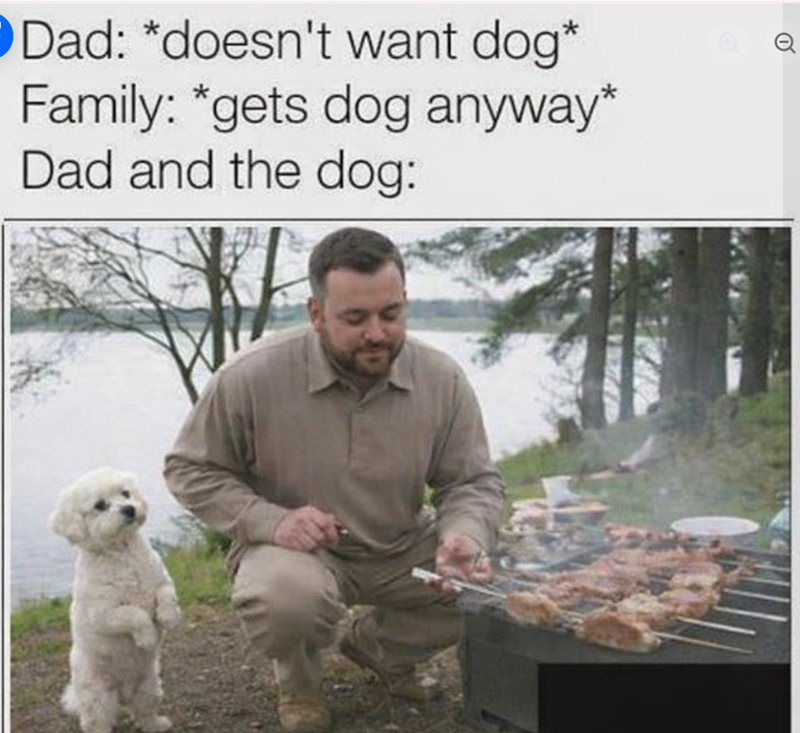 Dad: *doesn't want dog* Family: *gets dog anyway* Dad and the dog: Q