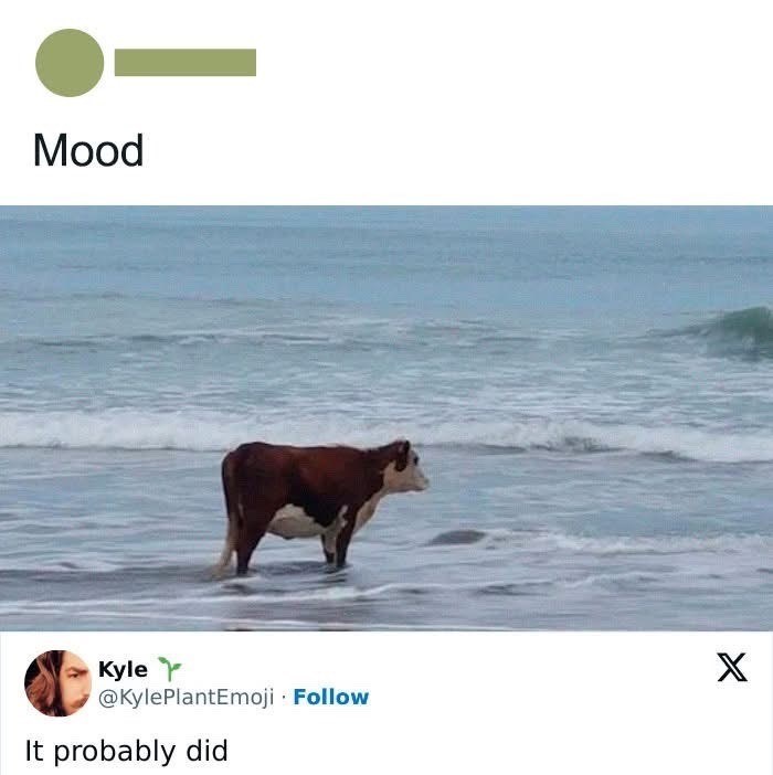 Mood Kyle @KylePlantEmoji Follow It probably did X