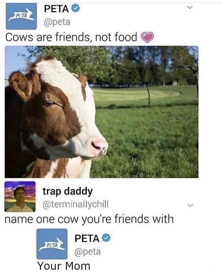 PETA PETA @peta Cows are friends, not food. trap daddy @terminallychill name one cow you're friends with PETA POTA @peta Your Mom