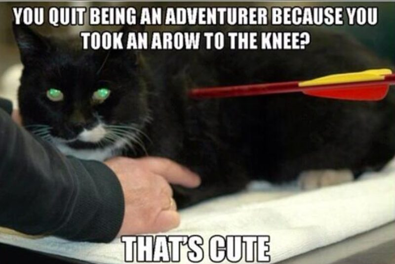 YOU QUIT BEING AN ADVENTURER BECAUSE YOU TOOK AN AROW TO THE KNEE? THAT'S CUTE