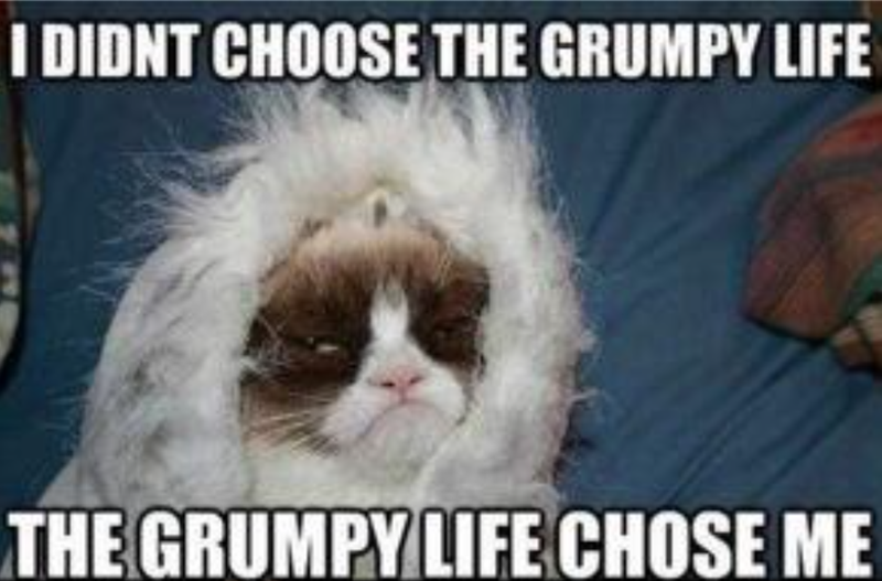 I DIDNT CHOOSE THE GRUMPY LIFE THE GRUMPY LIFE CHOSE ME