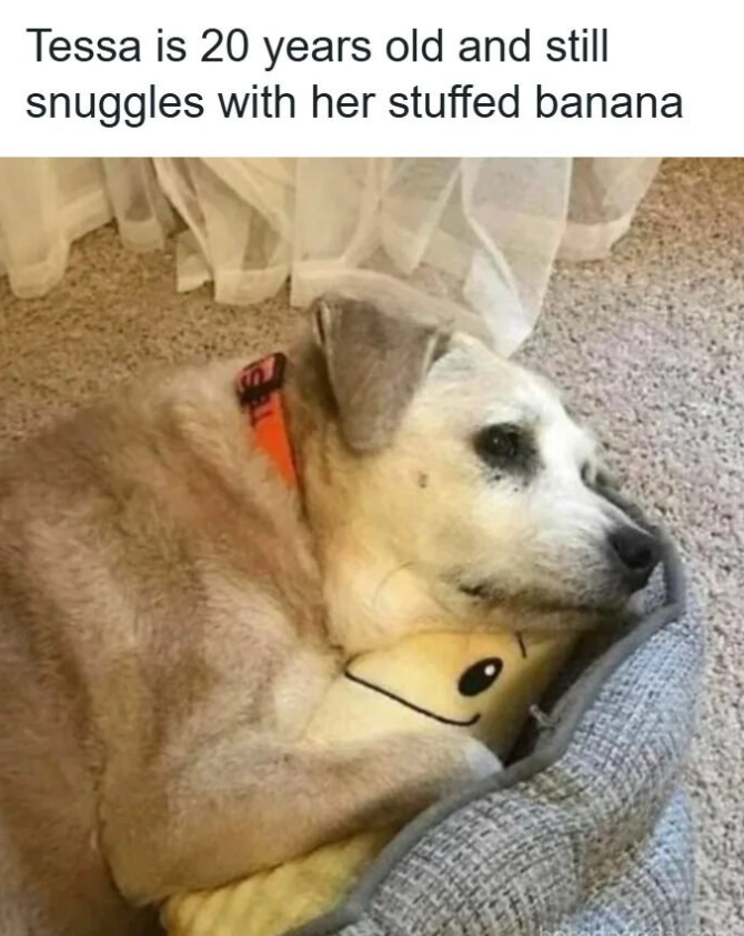 Tessa is 20 years old and still snuggles with her stuffed banana S