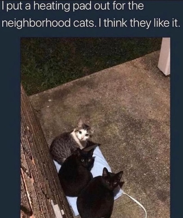 I put a heating pad out for the neighborhood cats. I think they like it.