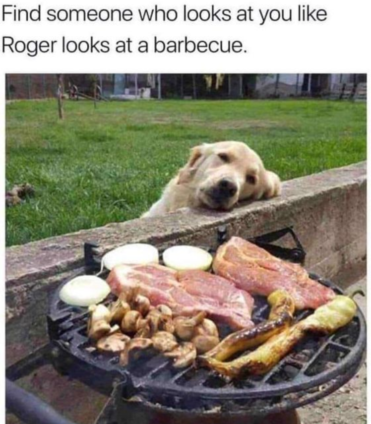Find someone who looks at you like Roger looks at a barbecue.