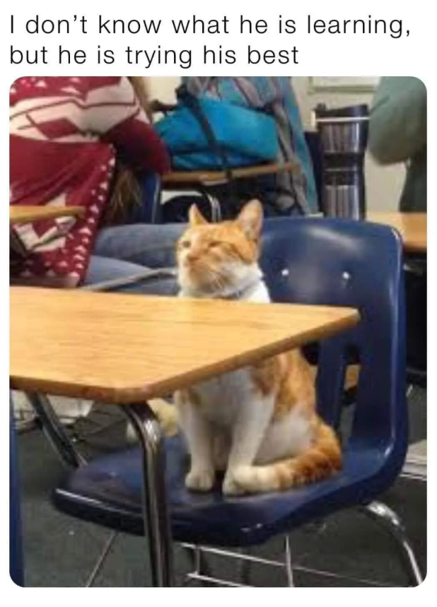 I don't know what he is learning, but he is trying his best