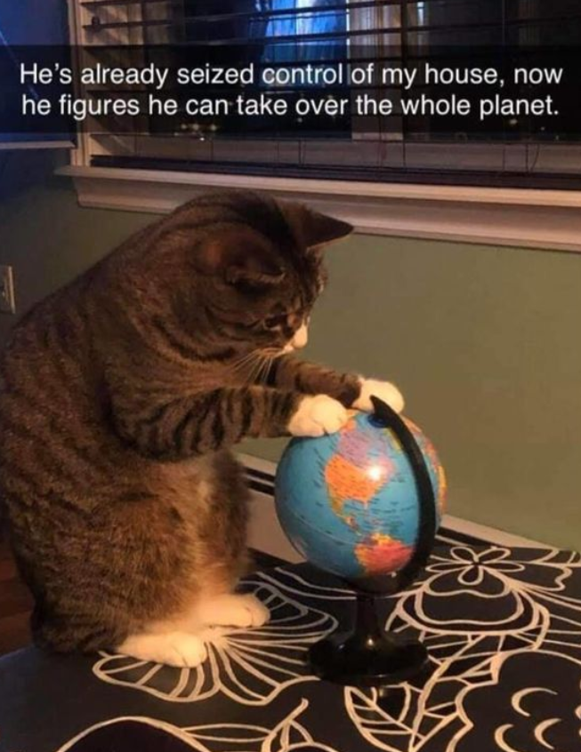 He's already seized control of my house, now he figures he can take over the whole planet.