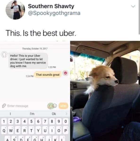 Southern Shawty @Spookygothgrama This. Is the best uber. Thursday, October 19, 2017 Hello! This is your Uber driver. I just wanted to let you know I have my service dog with me. 1:22 PM 1:24 PM That sounds great Enter message I'm BEN Ok 1 2 3 4 5 6 7 8 9 0 QWERTYUIOP