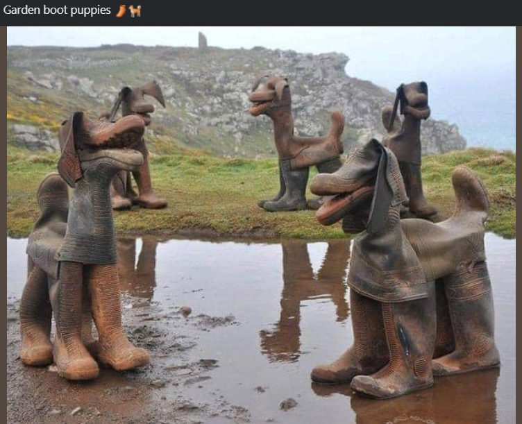 Garden boot puppies H