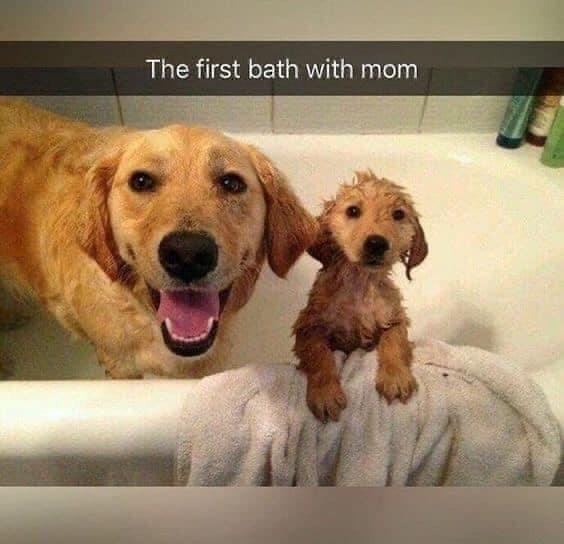 The first bath with mom