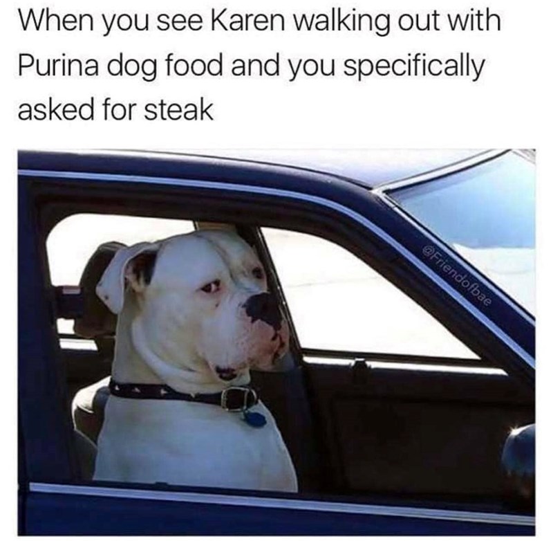 When you see Karen walking out with Purina dog food and you specifically asked for steak @Friendofbae