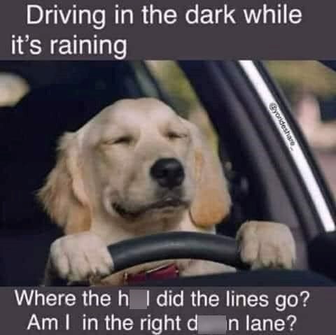 Driving in the dark while it's raining Gyorideshare Where the h I did the lines go? Am I in the right d n lane?