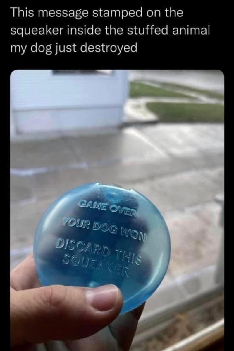 This message stamped on the squeaker inside the stuffed animal my dog just destroyed GAME OVER YOUR DOG WON DISCARD THIS SQUEAKER