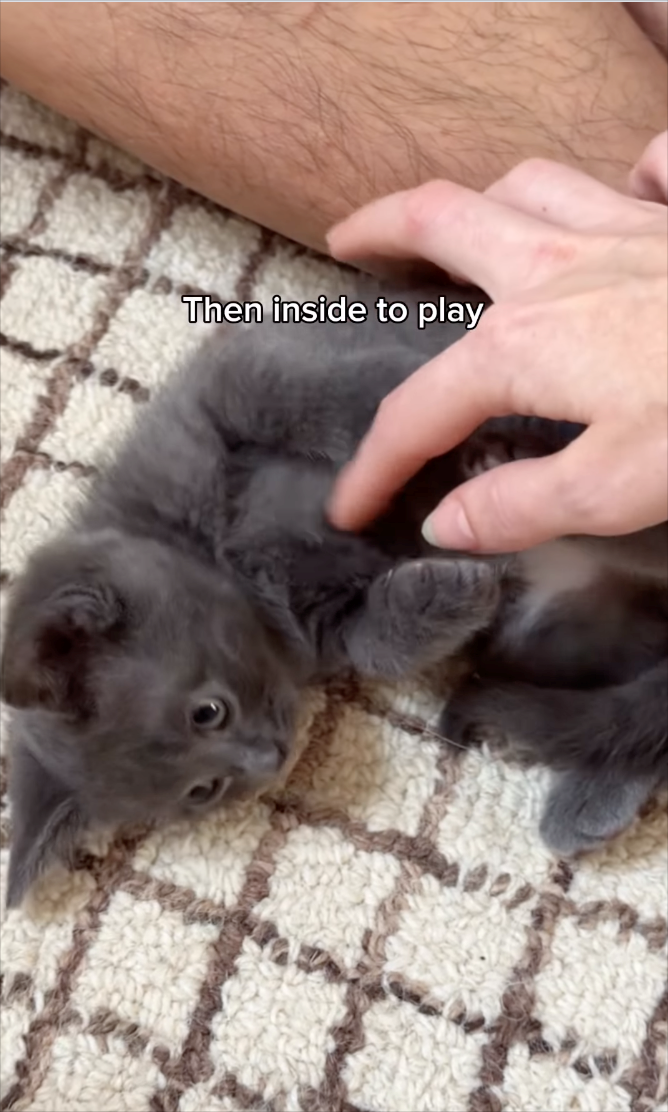 Then inside to play