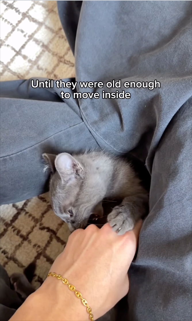 Until they were old enough to move inside