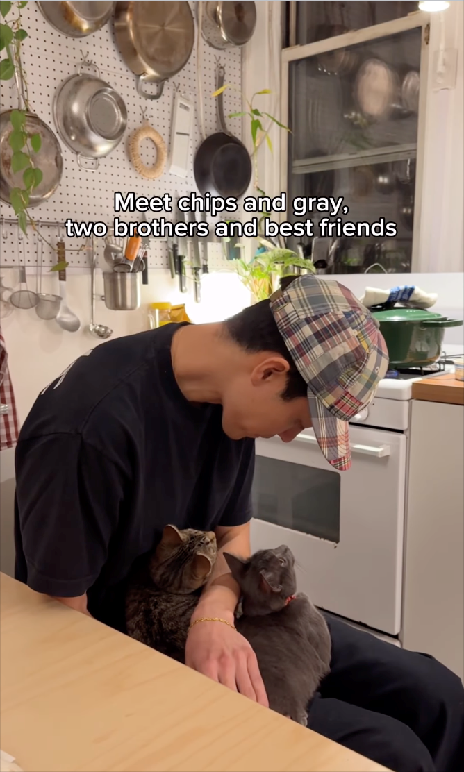 Meet chips and gray, two brothers and best friends