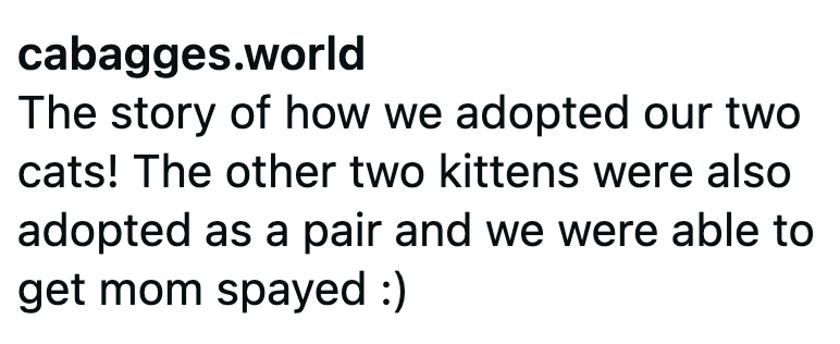 cabagges.world The story of how we adopted our two cats! The other two kittens were also adopted as a pair and we were able to get mom spayed :)