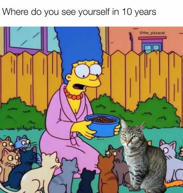 Where do you see yourself in 10 years 21 @the_pizzacat