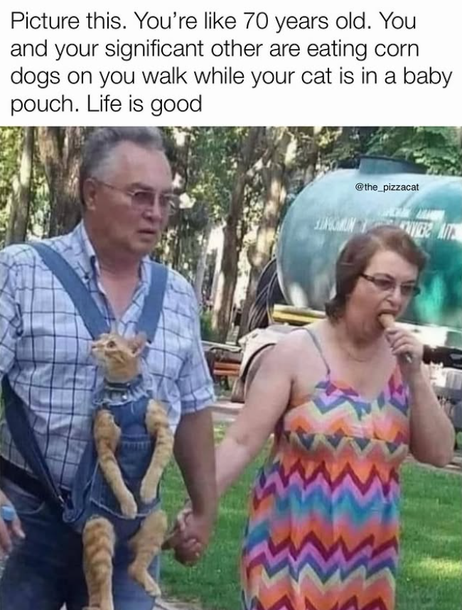 Picture this. You're like 70 years old. You and your significant other are eating corn dogs on you walk while your cat is in a baby pouch. Life is good @the_pizzacat