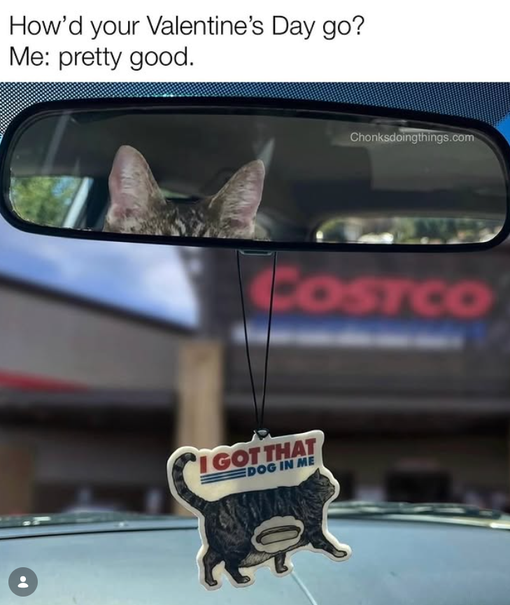 How'd your Valentine's Day go? Me: pretty good. Chonksdoingthings.com COSTCO I GOT THAT DOG IN ME