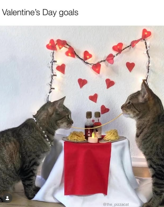 Valentine's Day goals @the_pizzacat