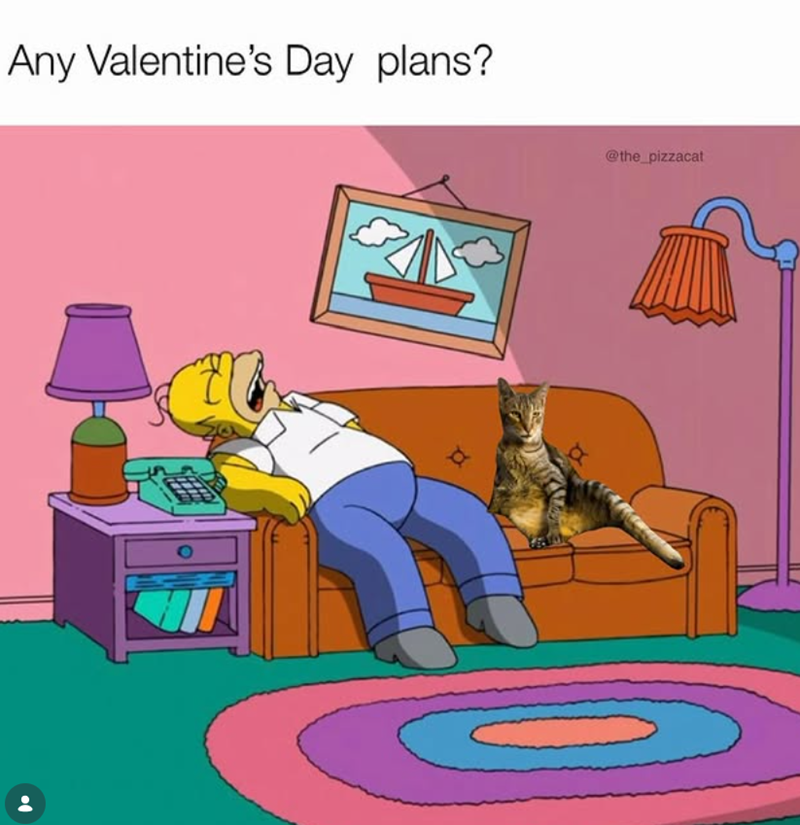 Any Valentine's Day plans? @the_pizzacat