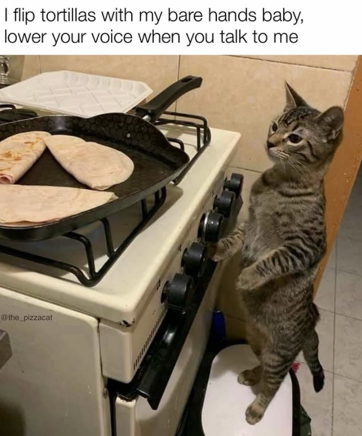 I flip tortillas with my bare hands baby, lower your voice when you talk to me @the_pizzacat