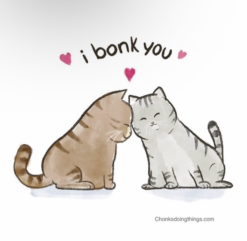 bonk you Chonksdoingthings.com