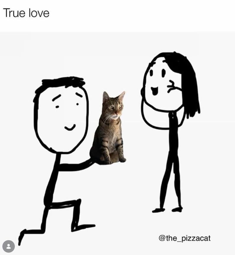 True love @the_pizzacat