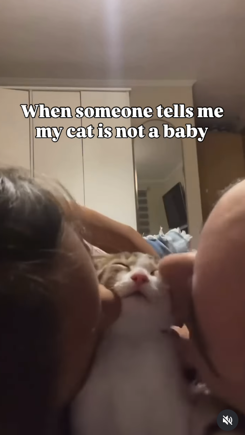 When someone tells me my cat is not a baby