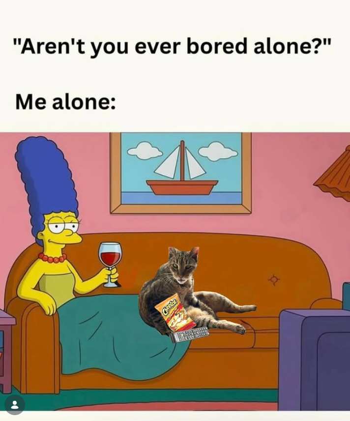 "Aren't you ever bored alone?" Me alone: Do Cheeta 2