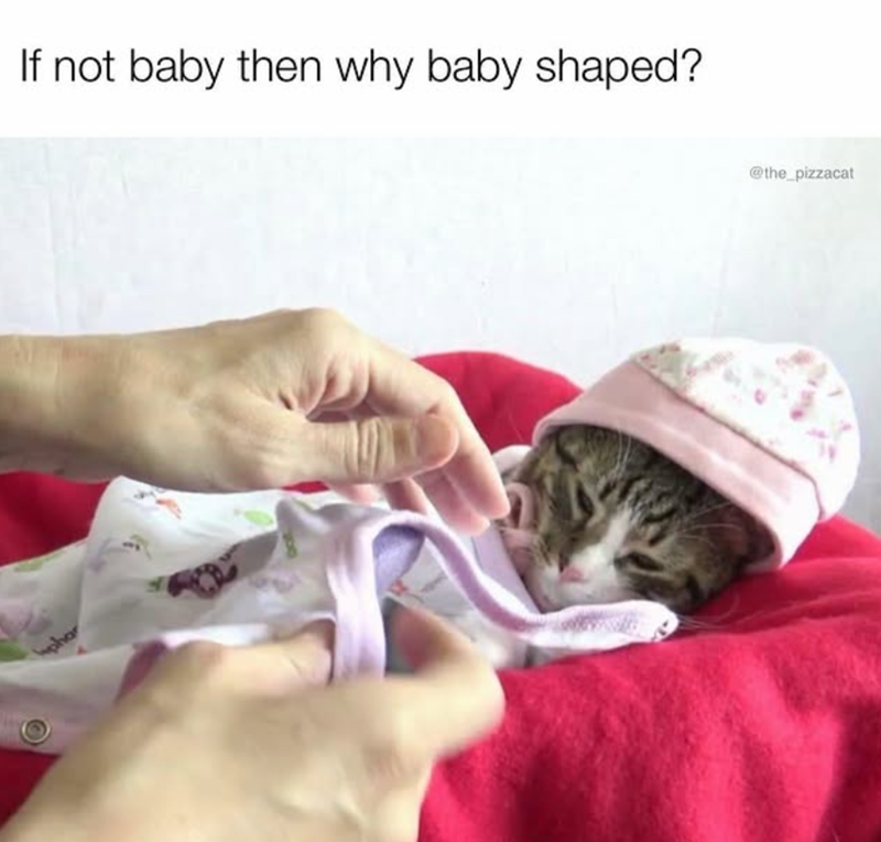 phar If not baby then why baby shaped? @the_pizzacat