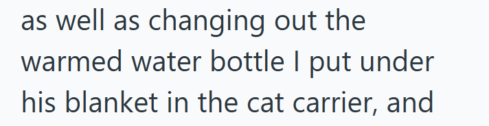as well as changing out the warmed water bottle I put under his blanket in the cat carrier, and