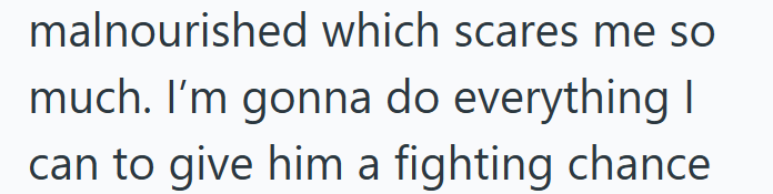 malnourished which scares me so much. I'm gonna do everything I can to give him a fighting chance