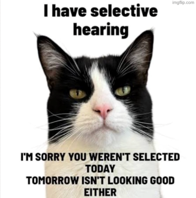 I have selective hearing imgflip.com I'M SORRY YOU WEREN'T SELECTED TODAY TOMORROW ISN'T LOOKING GOOD EITHER